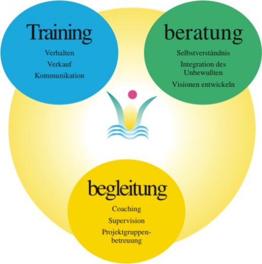 Beratung Training und Begleitung