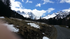 Picture of a path in the mountains